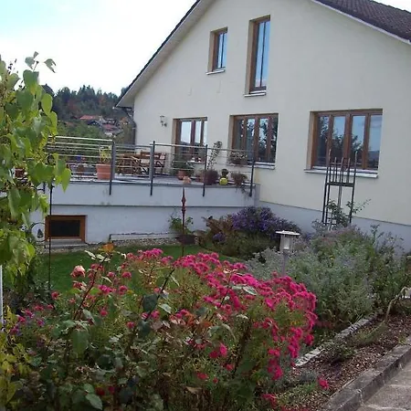 Haus Hollerbusch * Zwiesel